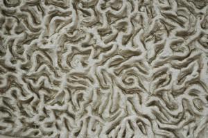 A lire ailleurs… du dimanche