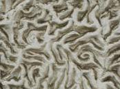 lire ailleurs… dimanche