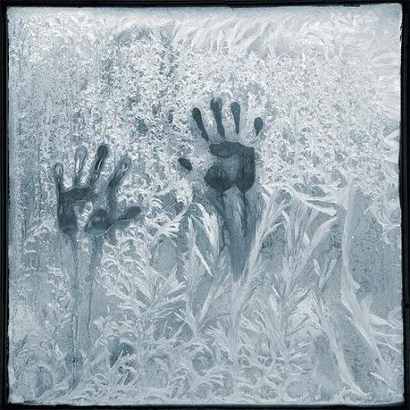 Focus sur la photographie de Leszek Bujnowski