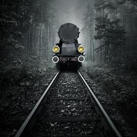 Focus sur la photographie de Leszek Bujnowski