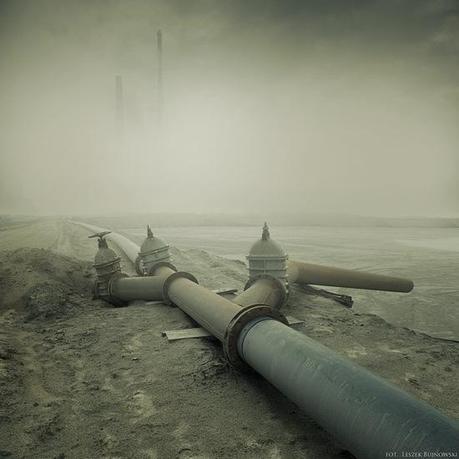 Focus sur la photographie de Leszek Bujnowski
