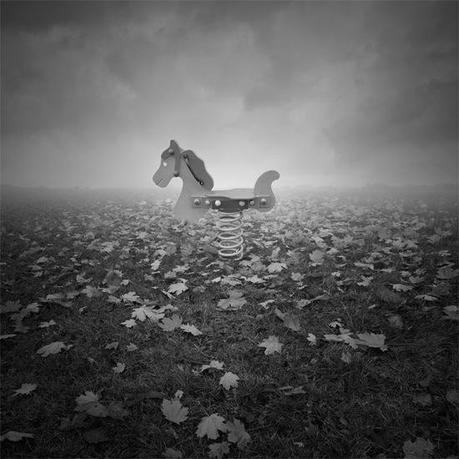 Focus sur la photographie de Leszek Bujnowski
