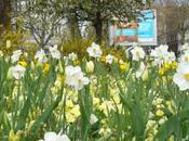 Ephéméride printemps