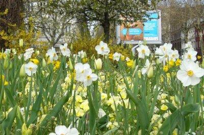 Ephéméride du printemps