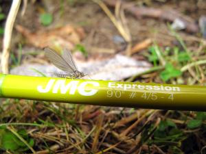 MILLOT’S OPENING/OUVERTURE