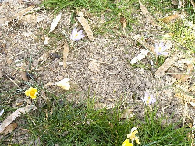 reprise des cours avant l'heure