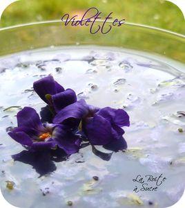 Pana_cotta_violette_3