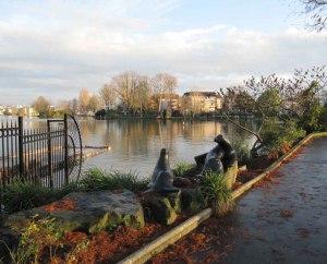 CARPE CONTRE HARENG / CARP VS HERRINGS