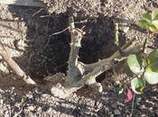 p'tits trous, p'tis encore trous