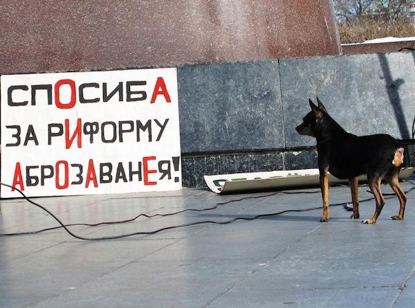 Sauvons l'éducation