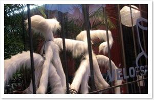 velo-espresso-bicycle-sport-randonnee-tourisme