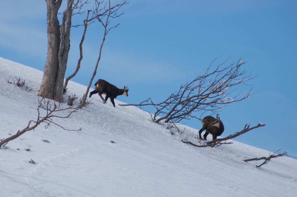 Riche sortie photo au Creux-du-Van (13 images)