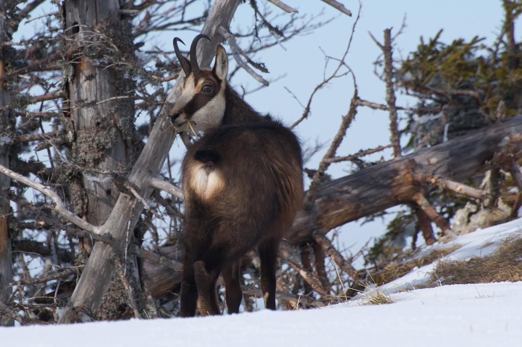 Riche sortie photo au Creux-du-Van (13 images)