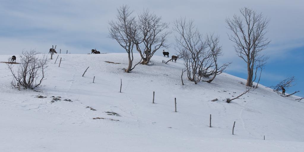 Riche sortie photo au Creux-du-Van (13 images)