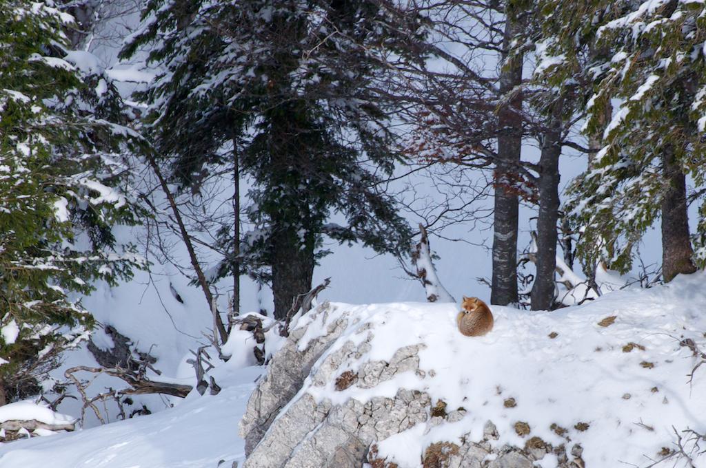 Riche sortie photo au Creux-du-Van (13 images)