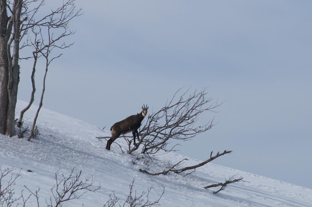Riche sortie photo au Creux-du-Van (13 images)