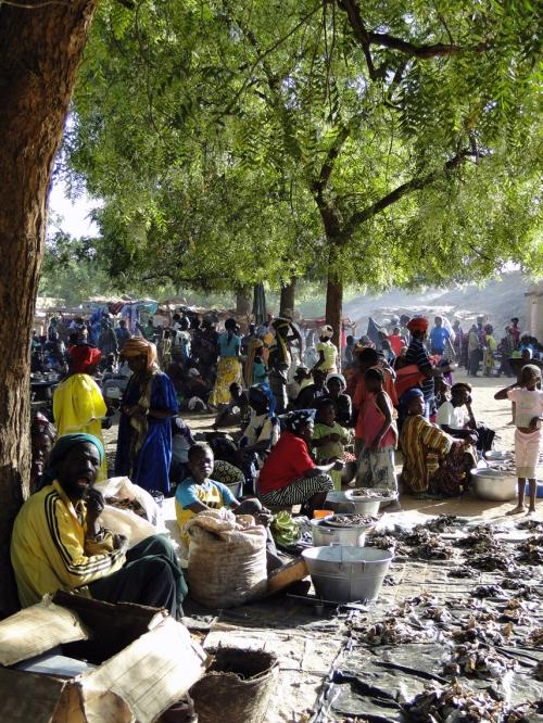 Sur le marché de Yendouma (pays dogon, Mali)