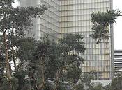 Bibliothècture arbres…