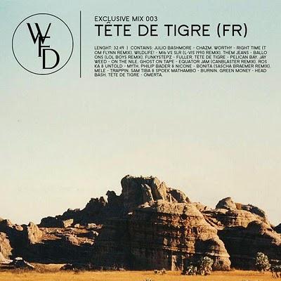 Un tigre dans la savane