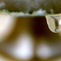 La contamination radioactive se répand autour de Fukushima