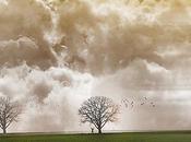 PANACHE RADIOACTIF Quels sont risques attendus France