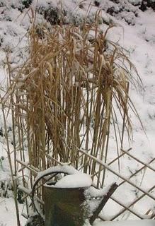 Le soleil est toujours généreux, désormais la vie est au ...