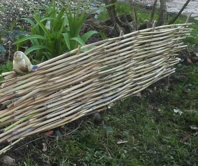 Le soleil est toujours généreux, désormais la vie est au ...