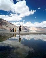 The Fall, et la beauté s'invite à Panic Cinéma !