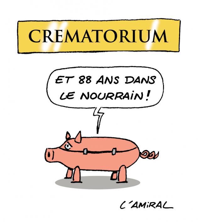 Veni, vidi, Capelovici