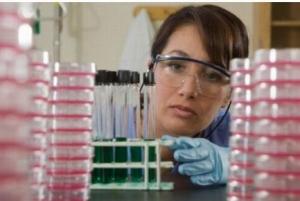 NUTRITION : Les mamans “junk food” font des enfants “junk food” – FASEB Journal