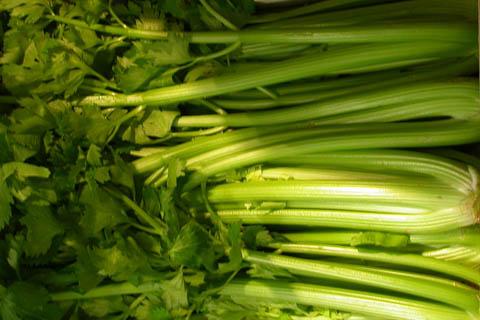 Feuilles de céléri (Tawara Machi)