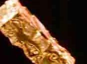 César d’extrême-droite Meilleur second rôle l’UMP