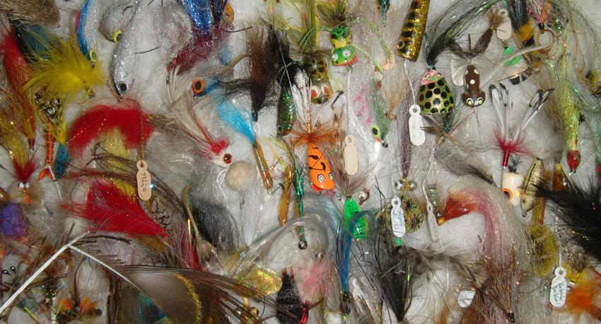 VILMO IN BRAZIL @ BETHINO’s