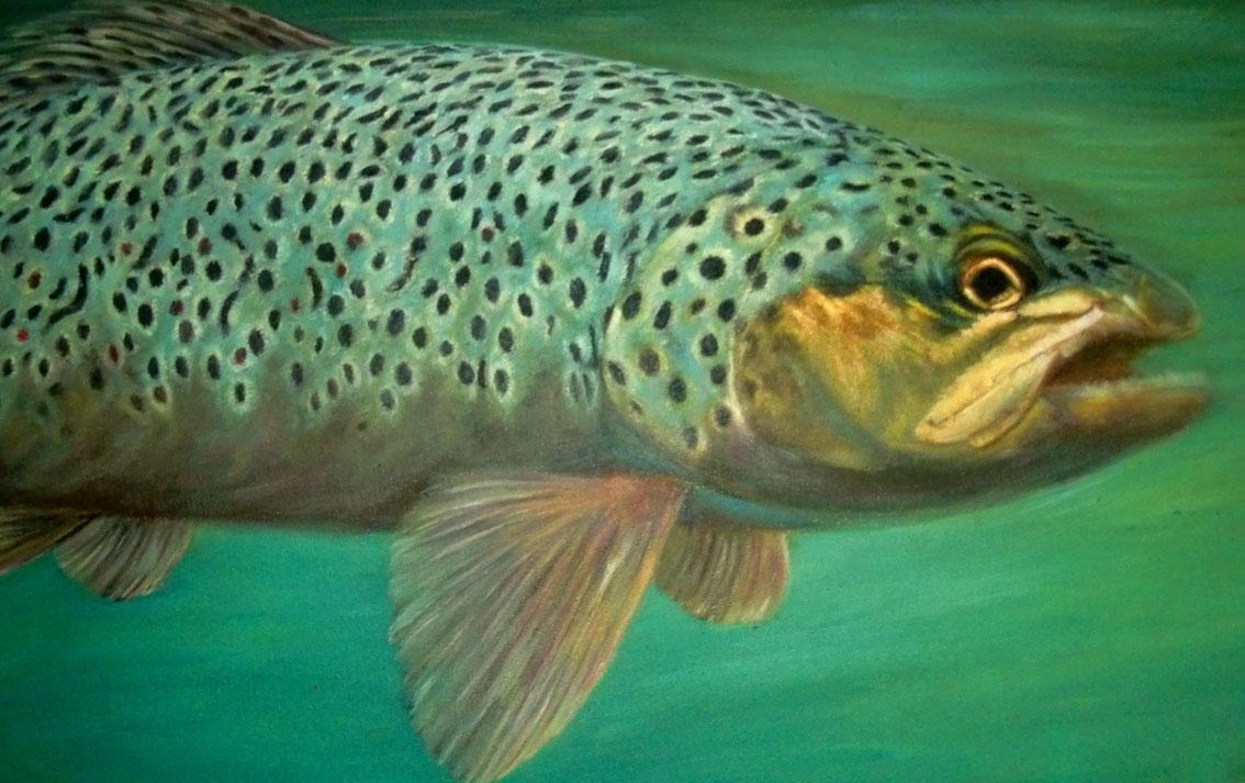 VILMO IN BRAZIL @ BETHINO’s