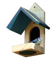 Grand jeu « Des oiseaux à la fenêtre » !