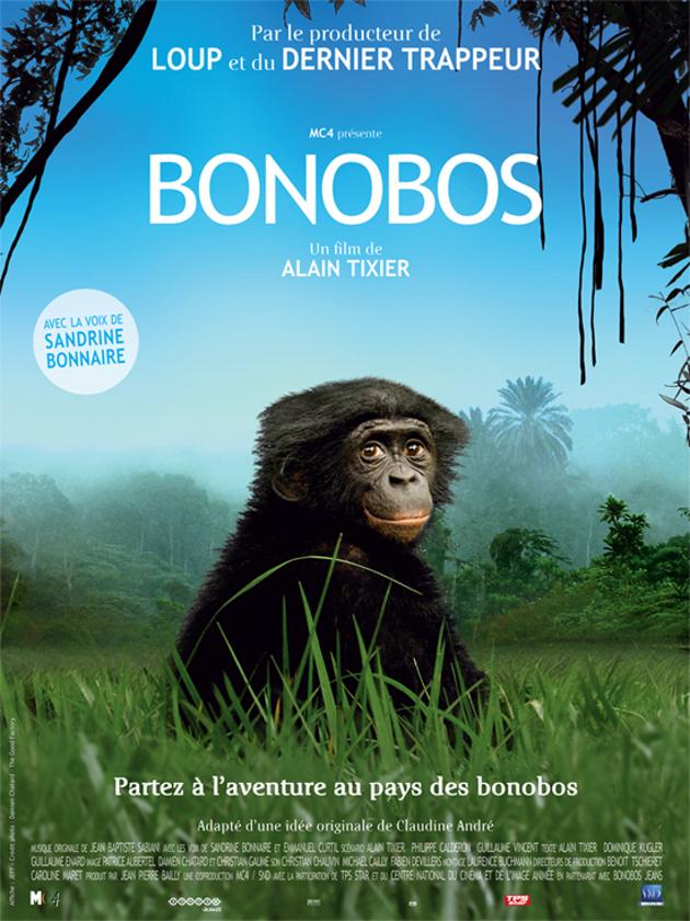 Bonobos, évitons leur disparition !