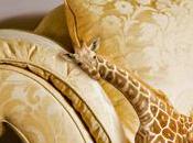 chiens jouent poker mini girafes.