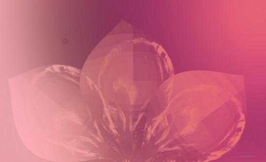 Cristian Boian 34 540x329 Les oeuvres de Cristian Boian