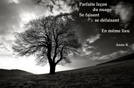 Daishin, à découvrir