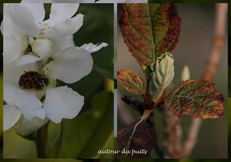 LA PARTIE DES INVALIDES ET....