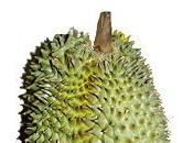 Durian fruit, dessert