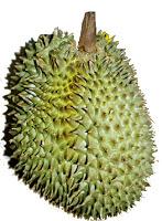 Le Durian : mi fruit, mi dessert