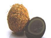 oeufs ans, expérience gustative