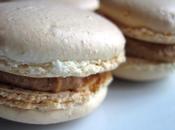Macarons speculos