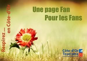 191361_10150159901081136_198682171135_8645782_4386875_o