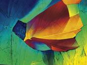 Sharp présente LE830