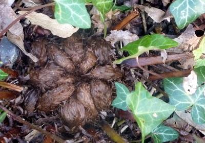 Avant de vous souhaiter à tous un  Bon Week-end ...