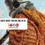 Première analyse du modèle de production du film « El cosmonauta »