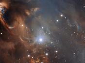 Dans l’intimité d’étoiles naissantes