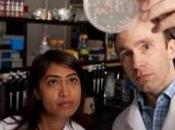 RÉSISTANCE BACTÉRIENNE Même “chez bactéries”, winners loosers Science